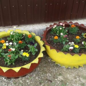 Plant Pots